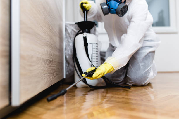 Best Exterminator Services  in Buckhannon, WV