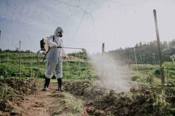 Best Commercial Pest Control Services  in Buckhannon, WV