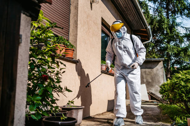 Best Rat Extermination Near Me  in Buckhannon, WV