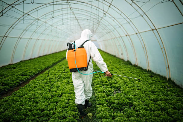 Best Pest Prevention Services  in Buckhannon, WV