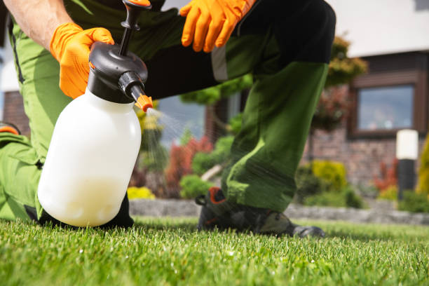 Best Local Pest Control Services  in Buckhannon, WV