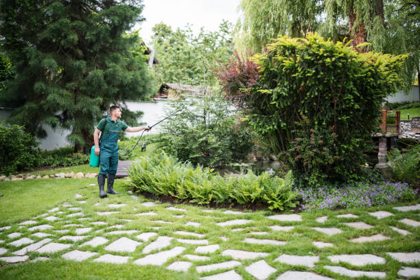 Best Ant Control Services  in Buckhannon, WV