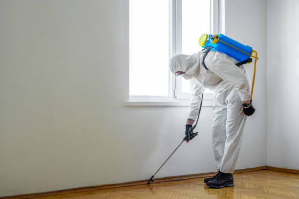 Best Pest Inspection Near Me  in Buckhannon, WV